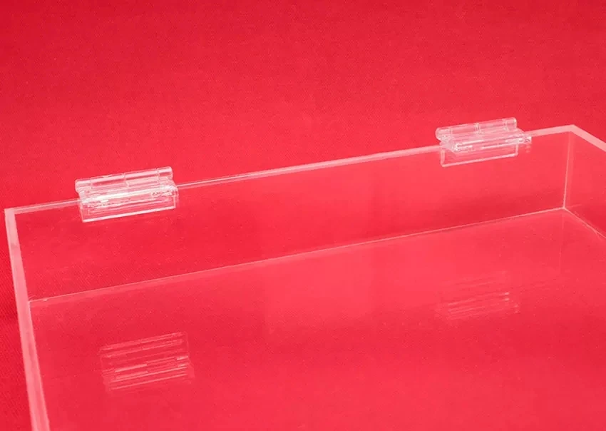 Caja con tapa y bisagra 2